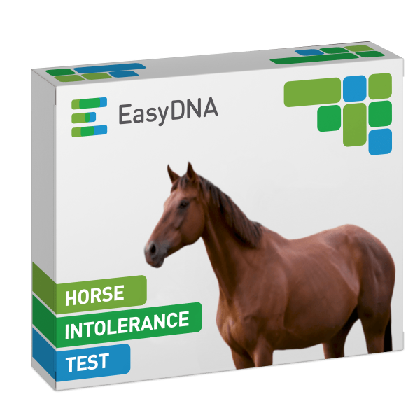 Horse Intolerance Test